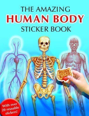 9781842398685: Human Body Sticker Book