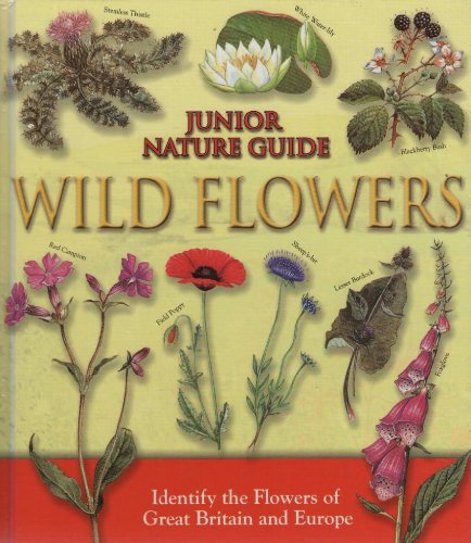 Stock image for Junior Nature Guide Wild Flowers for sale by WorldofBooks