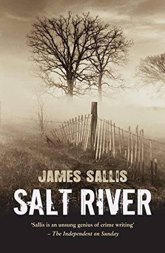 Beispielbild fr Salt River zum Verkauf von WorldofBooks