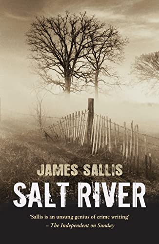 Stock image for Salt River for sale by Blackwell's