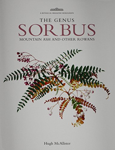 Beispielbild fr The Genus Sorbus: Mountain Ash and Other Rowans zum Verkauf von AwesomeBooks