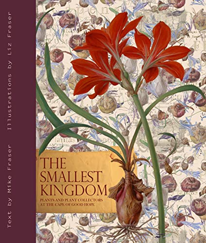 Stock image for The Smallest Kingdom: Plants and Plant Collectors at the Cape of Good Hope for sale by Magus Books Seattle