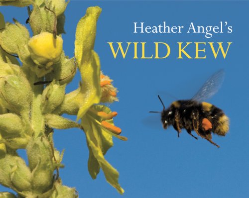Stock image for Heather Angel's Wild Kew for sale by Bahamut Media