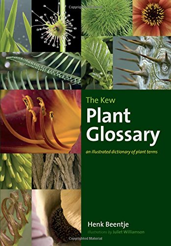 The Kew Plant Glossary: An Illustrated Dictionary of Plant Terms - Beentje, Henk