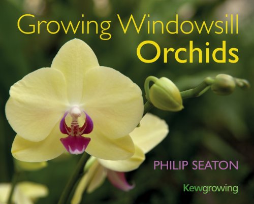 Imagen de archivo de Growing Windowsill Orchids a la venta por Better World Books