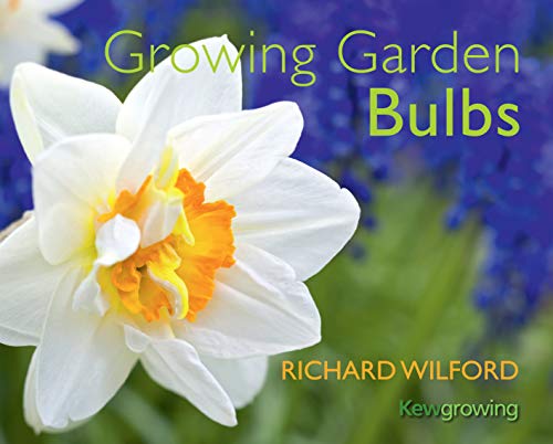 Imagen de archivo de Growing Garden Bulbs (Kew Growing) a la venta por AwesomeBooks