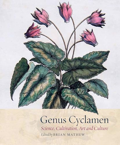 Stock image for Genus Cyclamen for sale by Kennys Bookshop and Art Galleries Ltd.