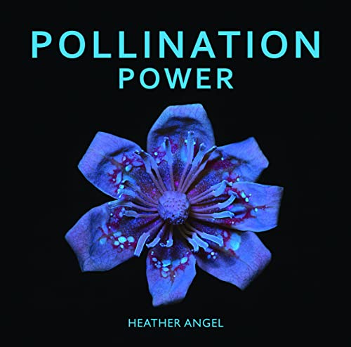 Beispielbild fr Pollination Power zum Verkauf von Better World Books: West