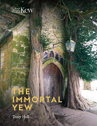 Stock image for The Immortal Yew for sale by Blackwell's