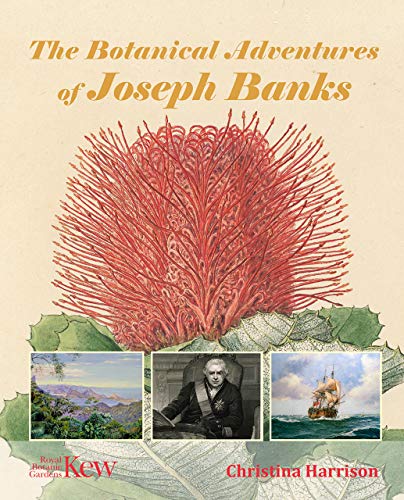 Stock image for The Botanical Adventures of Joseph Banks for sale by Midtown Scholar Bookstore