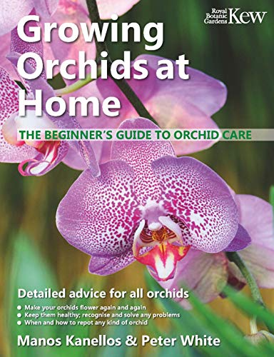 9781842467183: Growing Orchids at Home: The beginner's guide to orchid care