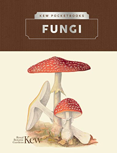 Beispielbild fr Fungi zum Verkauf von Blackwell's