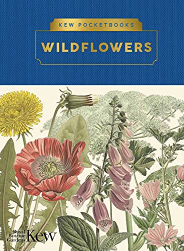 Stock image for Wildflowers for sale by Blackwell's
