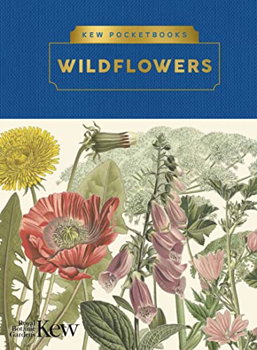 9781842467350: Kew Pocketbooks: Wildflowers