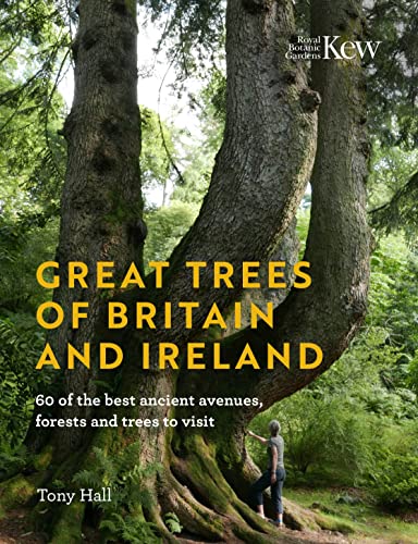 Stock image for Great Trees of Britain and Ireland for sale by Blackwell's