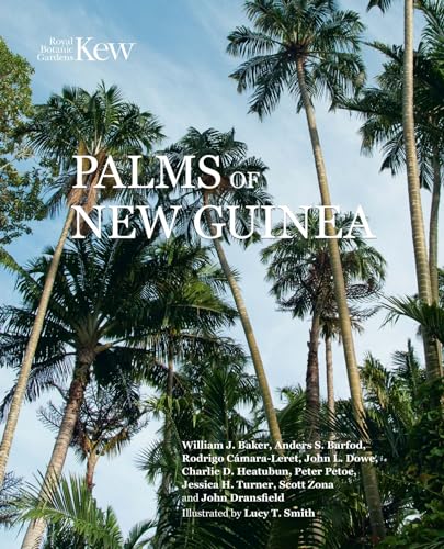 9781842468104: The Palms of New Guinea