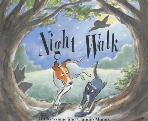 Beispielbild fr Night Walk zum Verkauf von WorldofBooks