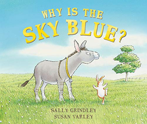 9781842705896: Why Is The Sky Blue?