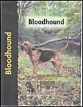 Imagen de archivo de Bloodhound (Pet Love) (Pet Love S.) a la venta por WorldofBooks
