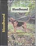 Stock image for Bloodhound (Pet Love) (Pet Love S.) for sale by WorldofBooks