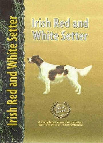 Stock image for Irish Red and White Setter for sale by ThriftBooks-Atlanta