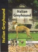 Beispielbild fr Italian Greyhound zum Verkauf von HPB-Ruby