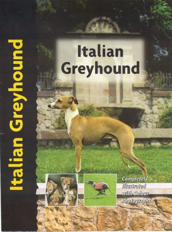 Stock image for Italian Greyhound for sale by Bingo Used Books