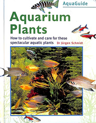 Beispielbild fr Aquarium Plants (Aquaguide) (The Aquamaster) zum Verkauf von WorldofBooks