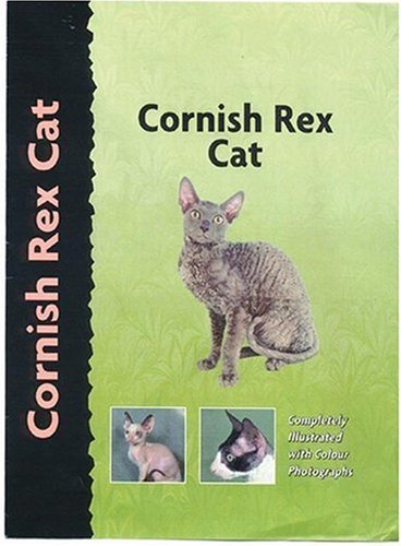 Cornish Rex Cat