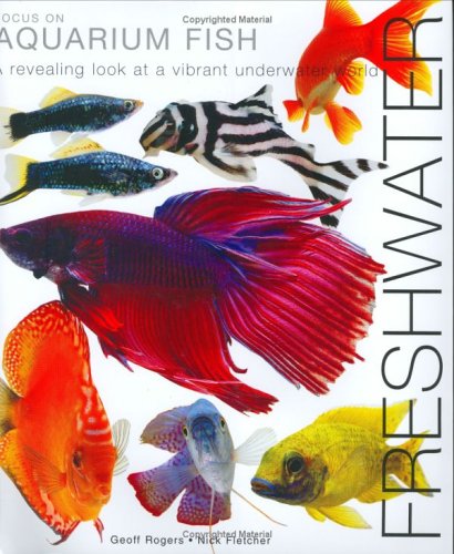 Stock image for Focus on Aquarium Fish: Freshwater for sale by AwesomeBooks