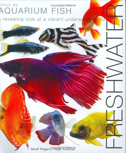 Stock image for Focus on Aquarium Fish: Freshwater for sale by WorldofBooks