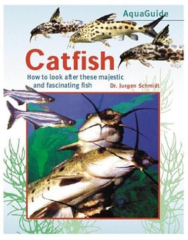 Stock image for AquaGuide to Catfish for sale by WorldofBooks