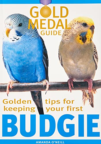 Beispielbild fr Budgie (Gold Medal Guide) - Everything you need to know to keep a healthy, happy budgerigar (Gold Medal Guide S.) zum Verkauf von WorldofBooks