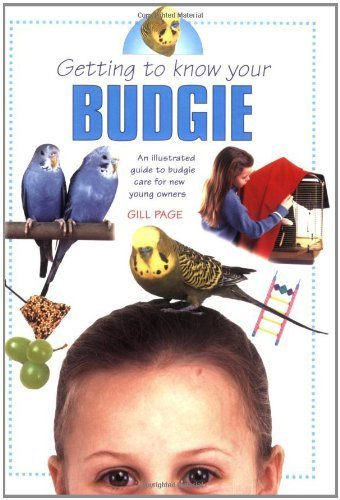 9781842861110: Getting to Know Your Budgie: Illustrated Guide to Budgie Care for New Young Owners