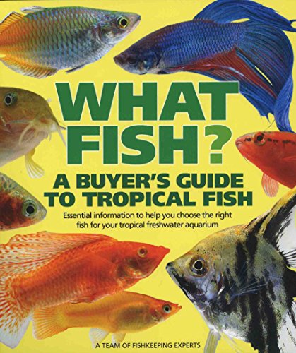 Beispielbild fr What Fish zum Verkauf von WorldofBooks