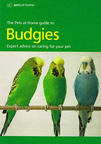 Stock image for A Quick-n-easy Guide to Keeping Budgies for sale by AwesomeBooks