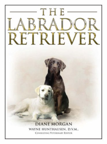 Imagen de archivo de The Labrador Retriever a la venta por WorldofBooks