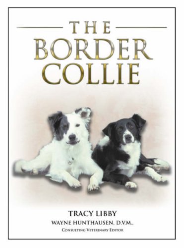 Stock image for The Border Collie for sale by WorldofBooks