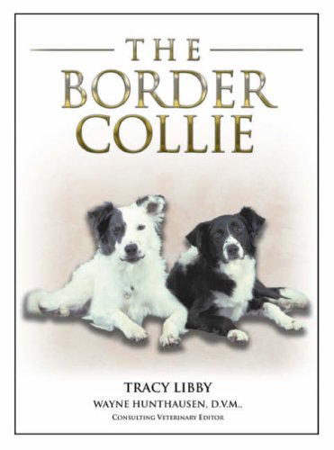 9781842861479: The Border Collie