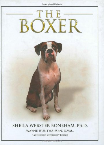 Imagen de archivo de The Boxer a la venta por WorldofBooks