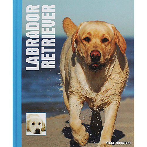 Stock image for Labrador Retrievers for sale by WorldofBooks