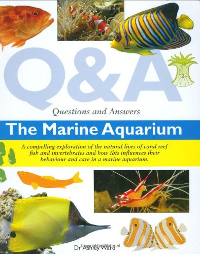 Imagen de archivo de Questions and Answers the Marine Aquarium (Questions & Answers) a la venta por WorldofBooks