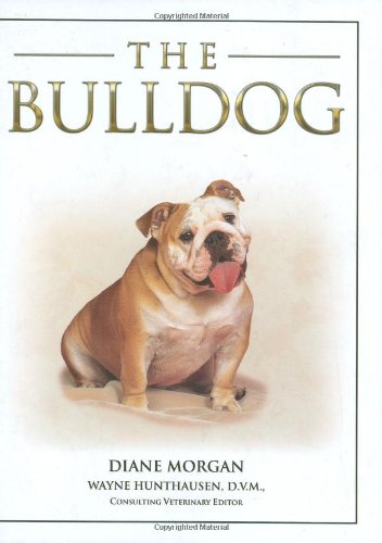 Stock image for The Bulldog for sale by Reuseabook