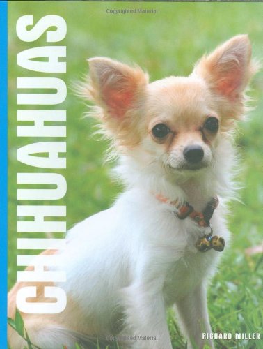 Beispielbild fr Chihuahuas zum Verkauf von Better World Books Ltd