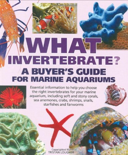 What Invertebrate? (9781842861790) by Tristan Lougher