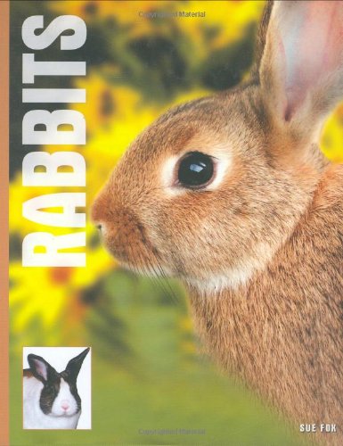 Imagen de archivo de Rabbits a la venta por MusicMagpie