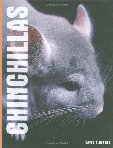 Stock image for Chinchillas for sale by WorldofBooks