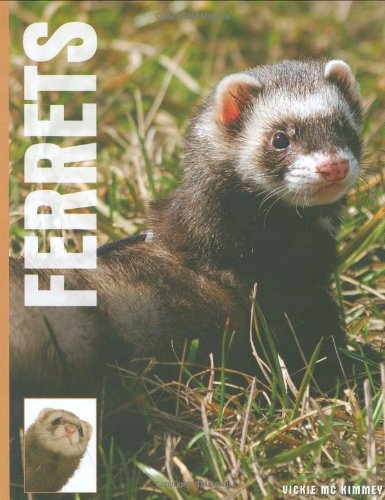 Imagen de archivo de Ferrets a la venta por WorldofBooks