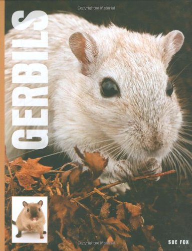 Stock image for Gerbils for sale by WorldofBooks