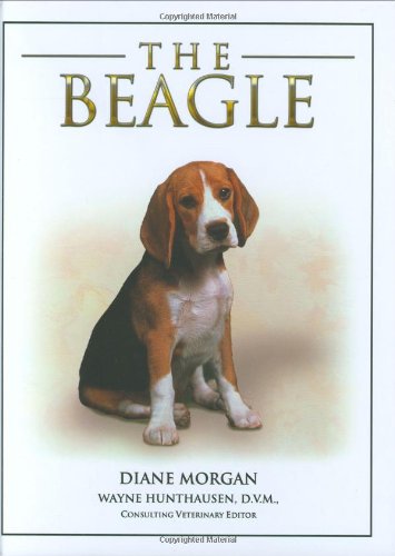 Beagle (9781842861981) by Diane Morgan; Wayne Hunthausen